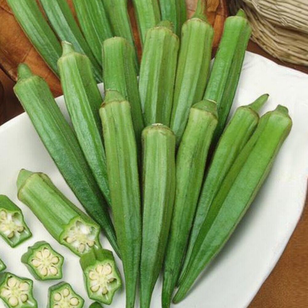 50 Okra Seeds Clemsons Spineless Gumbo Ladies Finger Vegetable Seeds for Growing