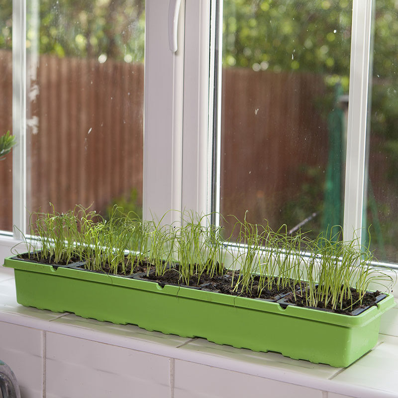 Windowsill Propagator Kit Indoor Greenhouse Set of 3 for 90 Plants