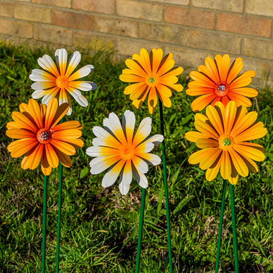 Woodside Yellow & Orange Ornamental Metal Garden Daisy Flower Stakes, Pack of 6