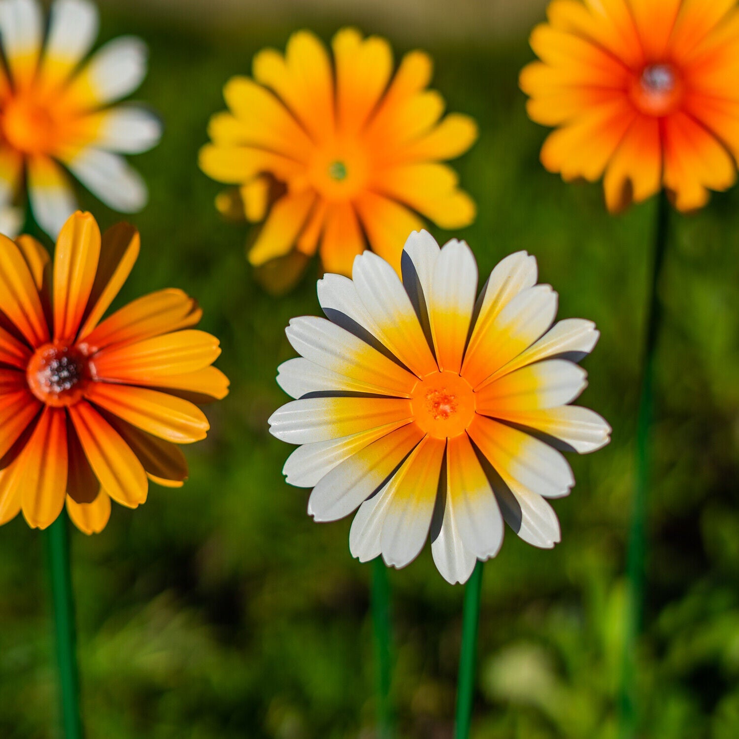 Woodside Yellow & Orange Ornamental Metal Garden Daisy Flower Stakes, Pack of 6