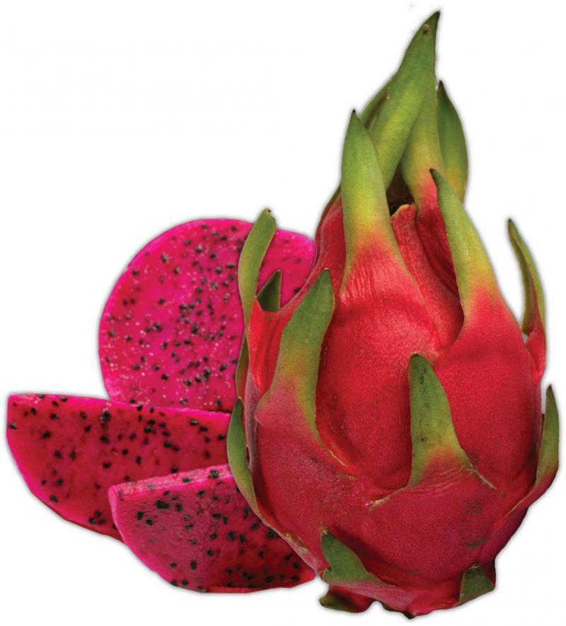 Red Dwarf Pitaya Dragon Fruit Seeds, Cactus Garden Plant, Juicy and delicious 20 Seeds