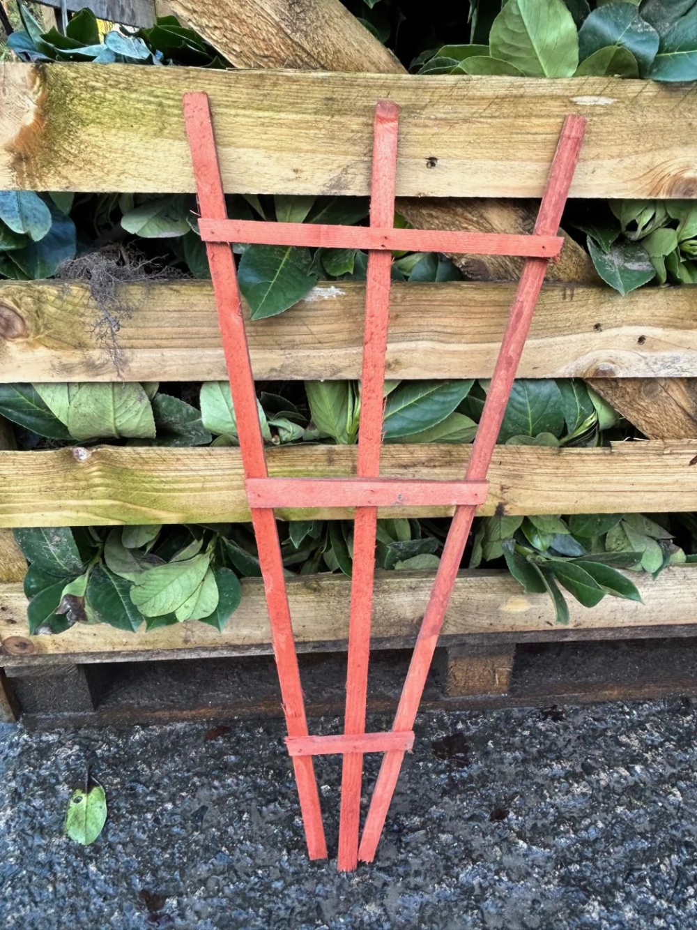 10 Plant Trellis Support Frame - Made of Treated Wood for Pots or Flower Bed