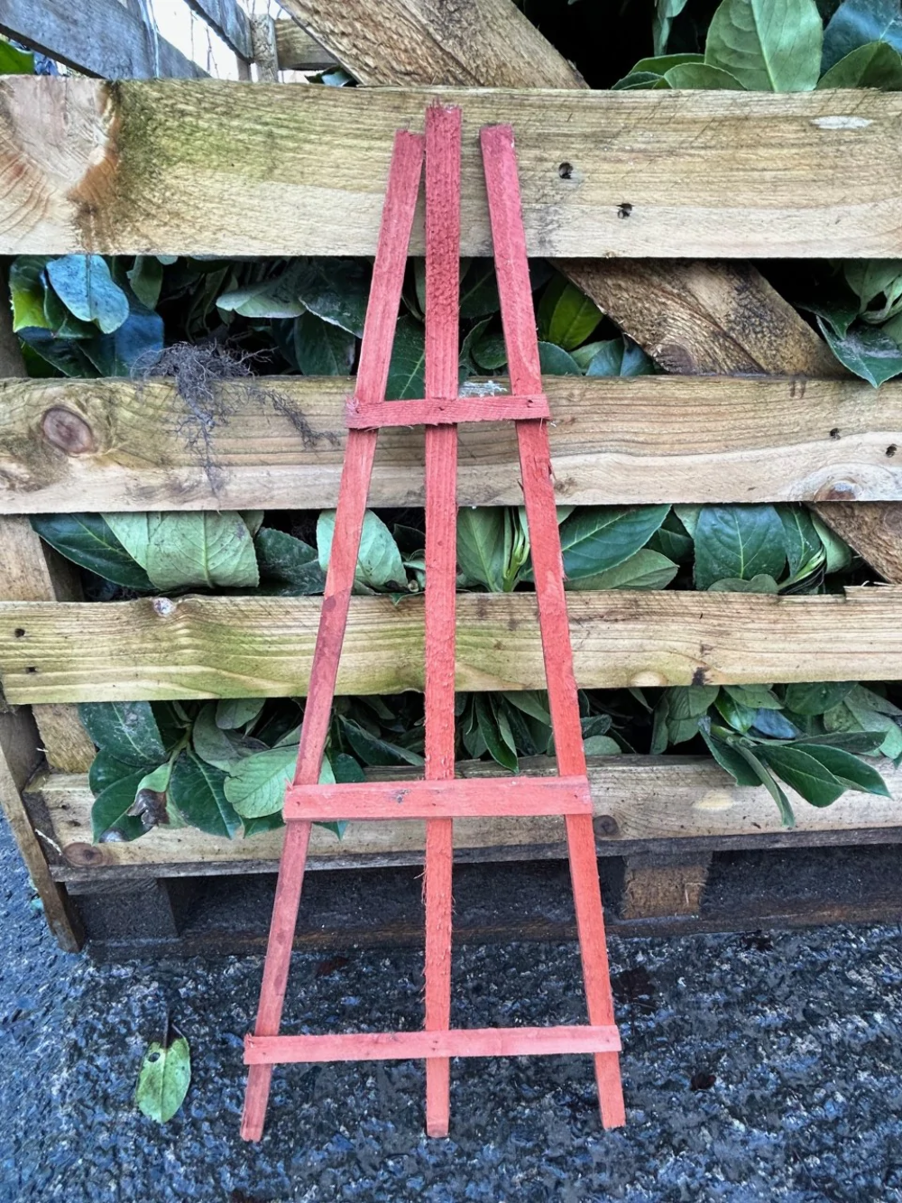 10 Plant Trellis Support Frame - Made of Treated Wood for Pots or Flower Bed