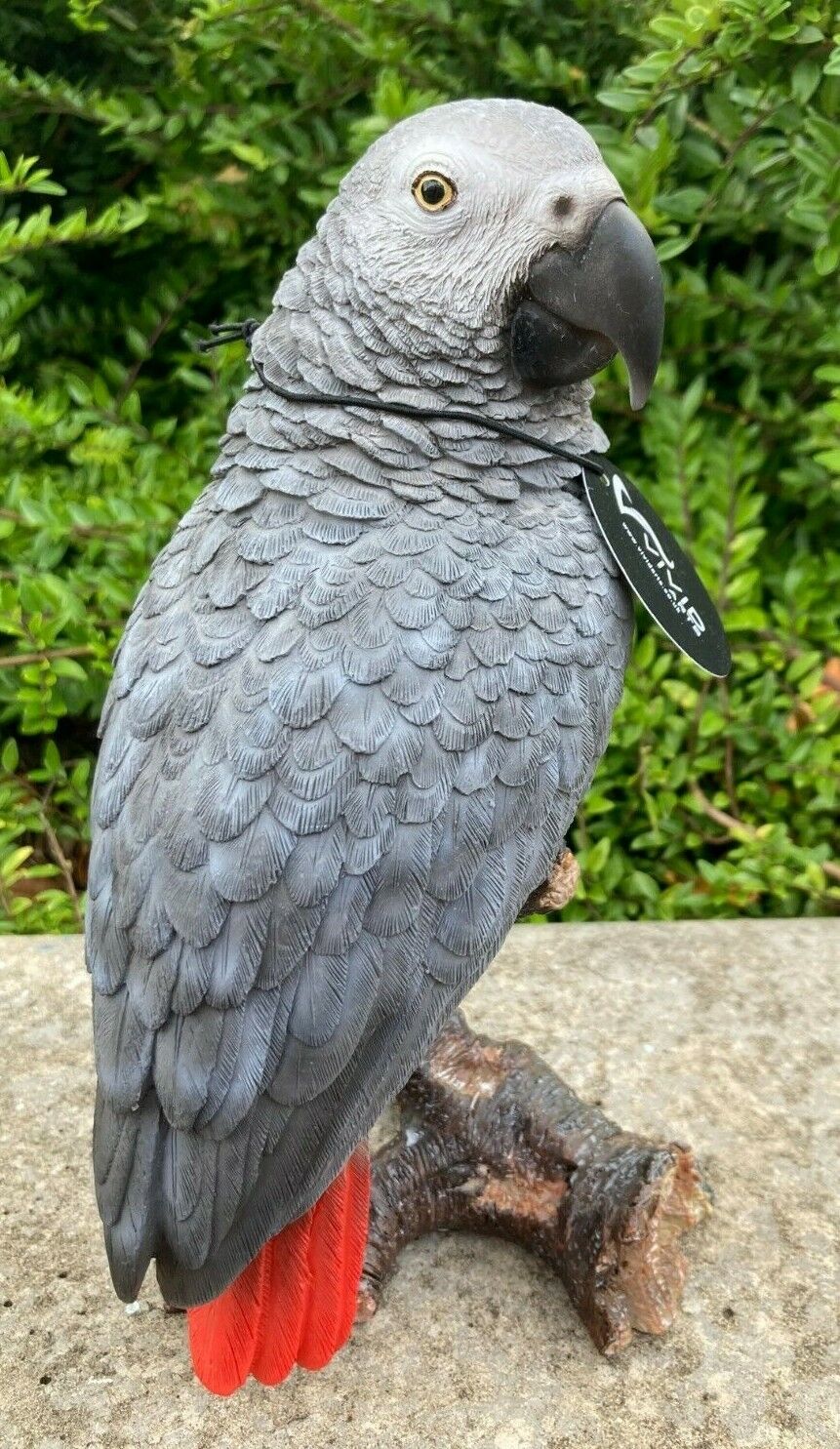 African Grey Parrot Vivid Arts Garden Ornament Indoor/ Outdoor