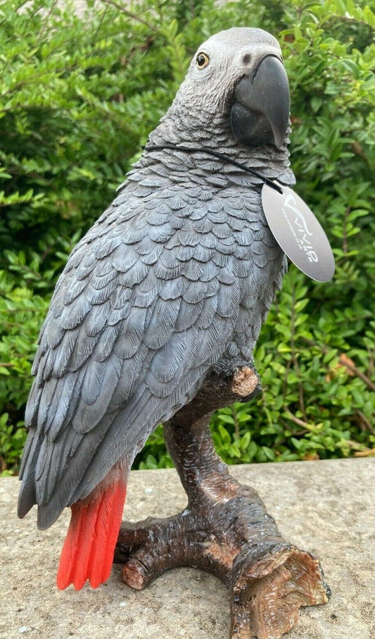 African Grey Parrot Vivid Arts Garden Ornament Indoor/ Outdoor