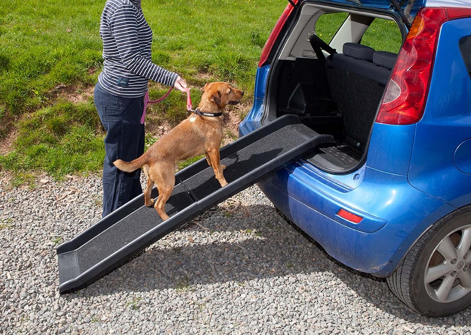 Pet Ramp for Dogs in Plastic, Folding Lightweight and Strong (Black)